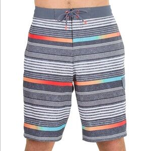 Speedo Striped Board Shorts 21”